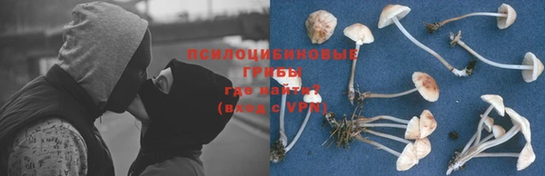 эйфоретик Гусиноозёрск