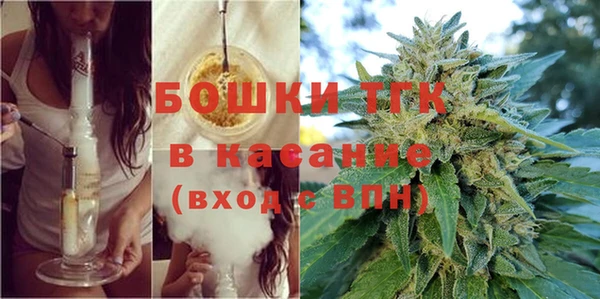 гидра Горняк