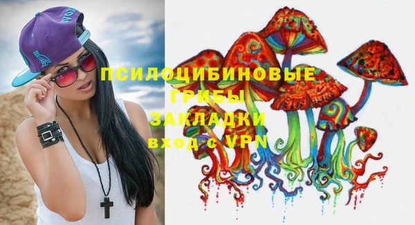 эйфоретик Гусиноозёрск