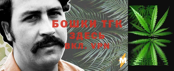 эйфоретик Гусиноозёрск